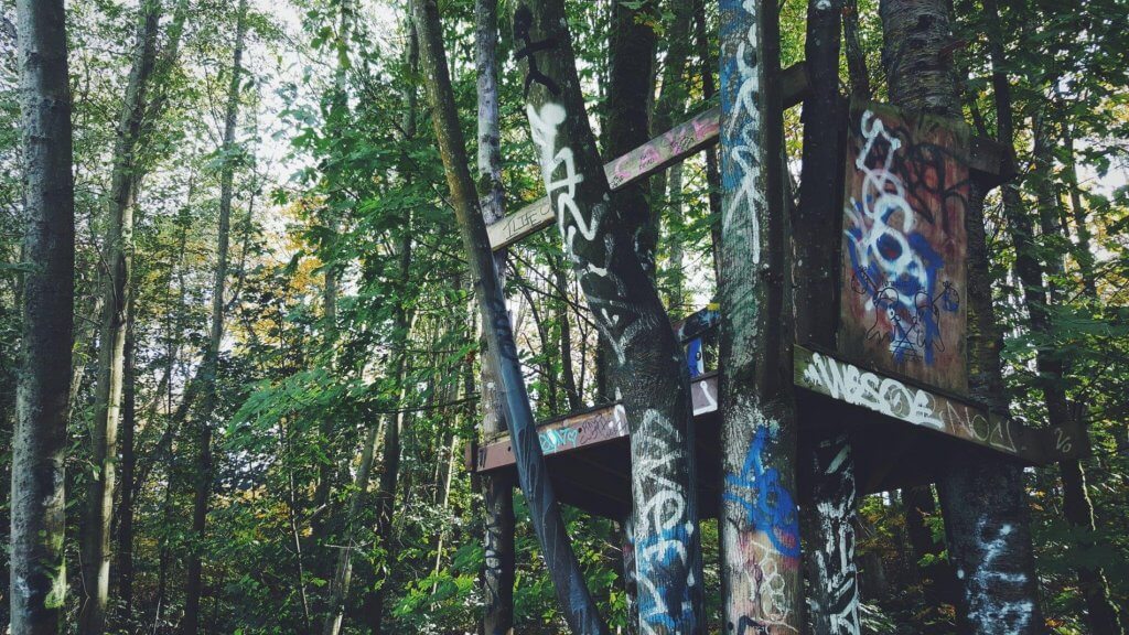 Tree fort in Vancouver