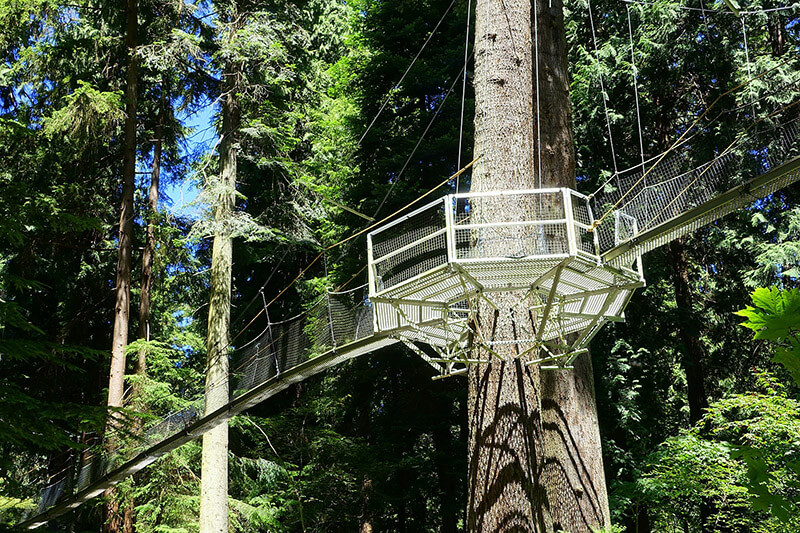 Greenheart TreeWalk Vancouver