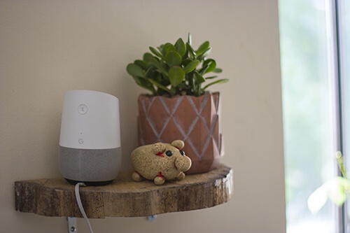 Google home, SEO for voice search